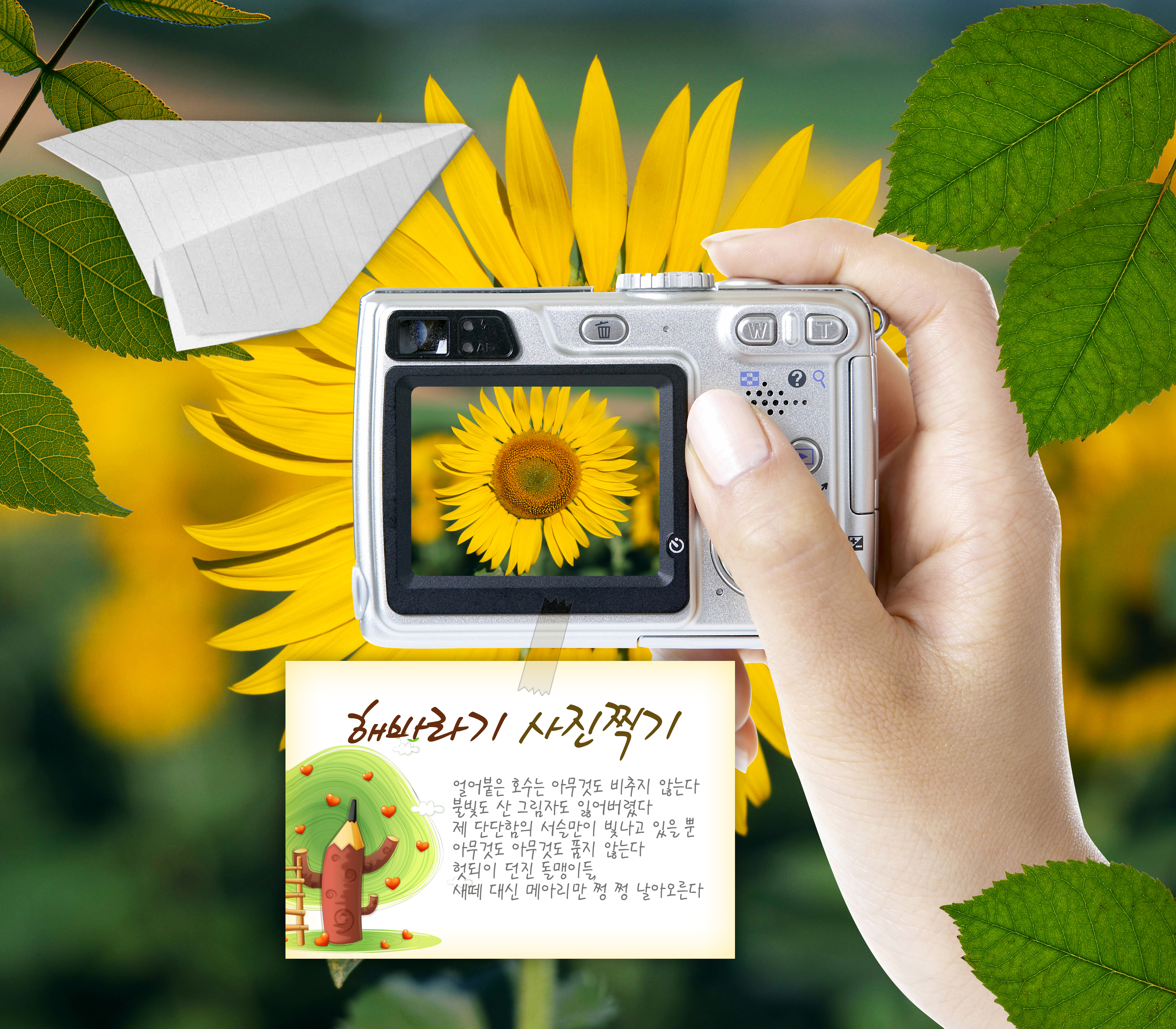 [포맷변환]w036c2916.jpg