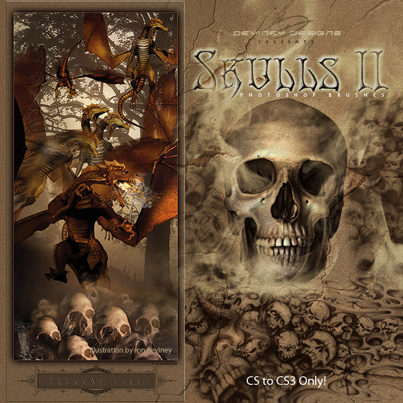 skull 2 a.jpg