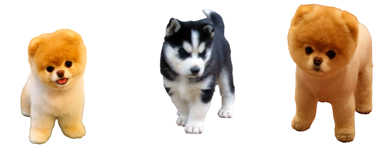 1-3.png