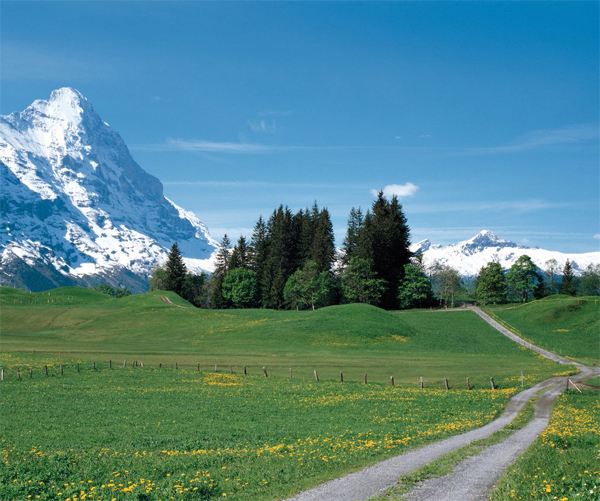 img-02.jpg
