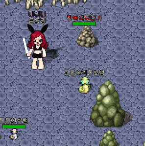 31.gif?type=w740