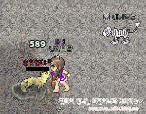 10.PNG