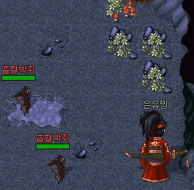 17.jpg?type=w740