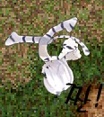 12.jpg?type=w740