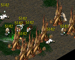 quamngdao.gif