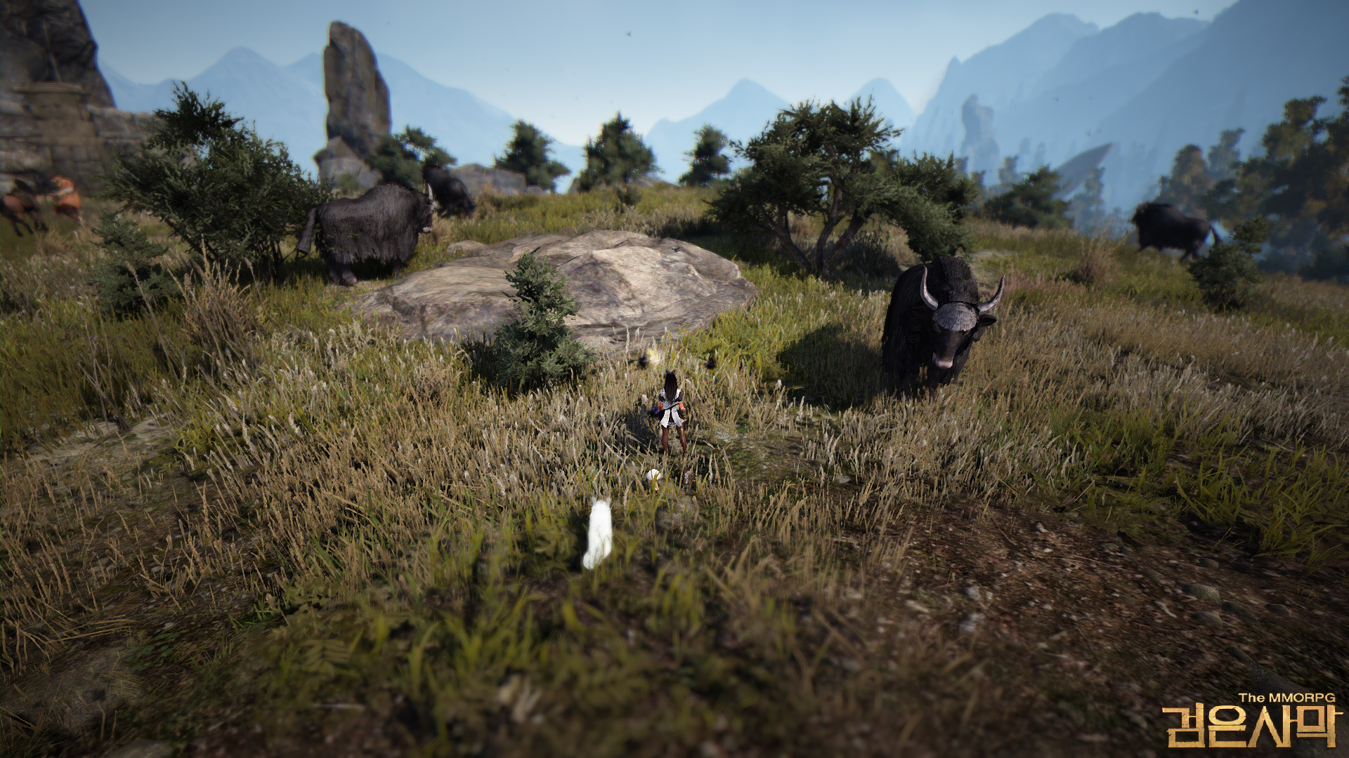 원본 크기로 보시려면 그림을 클릭하세요.