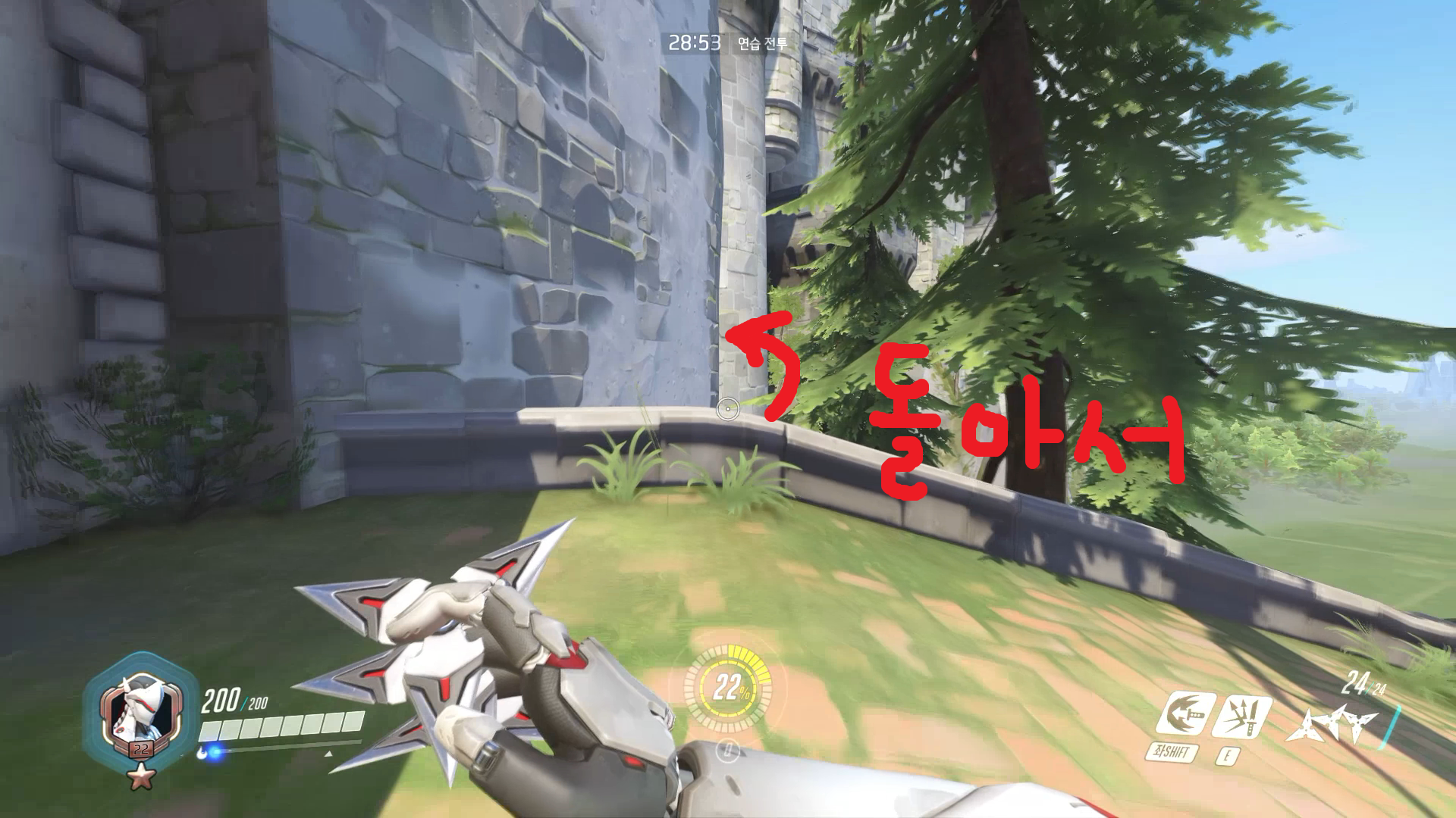 i10756991188.png