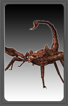 DevaMoN10.jpg