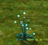 YBcapture00101