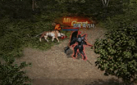 i13803858120.gif