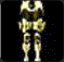 20060330_gu_en_img214.gif