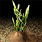 20060330_gu_en_img242.gif