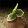 20060330_gu_en_img239.gif