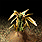 20060330_gu_en_img243.gif