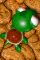 거북이.png