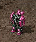 20060330_gu_en_img263.gif