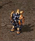 20060330_gu_en_img262.gif