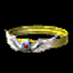 20060330_gu_en_img293.gif