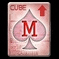 20060330_gu_en_img296.gif