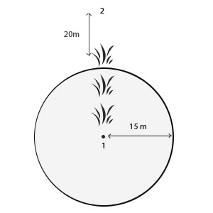 i13761467753.jpg