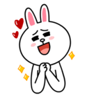 brown_and_cony-76