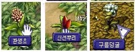 약초 도감 목록