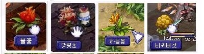 약초 도감 목록
