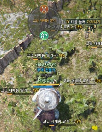 i1213894232.jpg