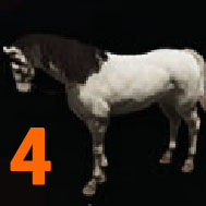 i4351863510.jpg