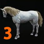 i4698567361.jpg