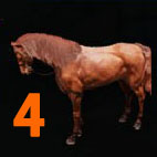 i3331802614.jpg