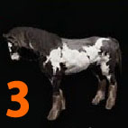 i4712793551.jpg