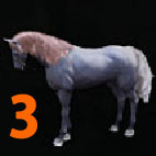 i4882223831.jpg