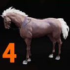 i3464944444.jpg