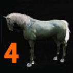 i3447236594.jpg