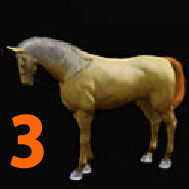 i4976571051.jpg