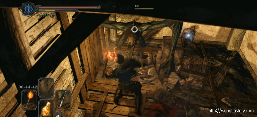 217ED946536C955916C494