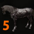 i4691404543.jpg
