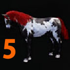 i4456604693.jpg