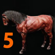 i4919123003.jpg