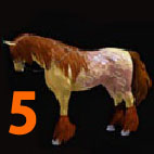 i4232513093.jpg