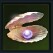 i13655549557.png
