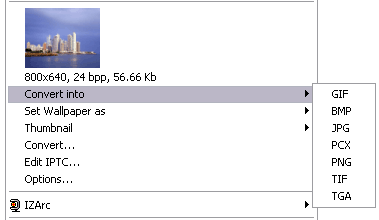 Screenshot for: XnView Shell Extension 4.1